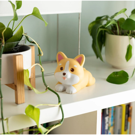 Legami Juguete Antiestrés Perro Corgi