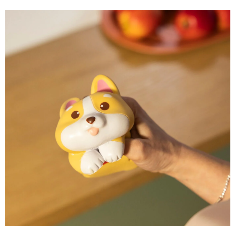 Legami Juguete Antiestrés Perro Corgi