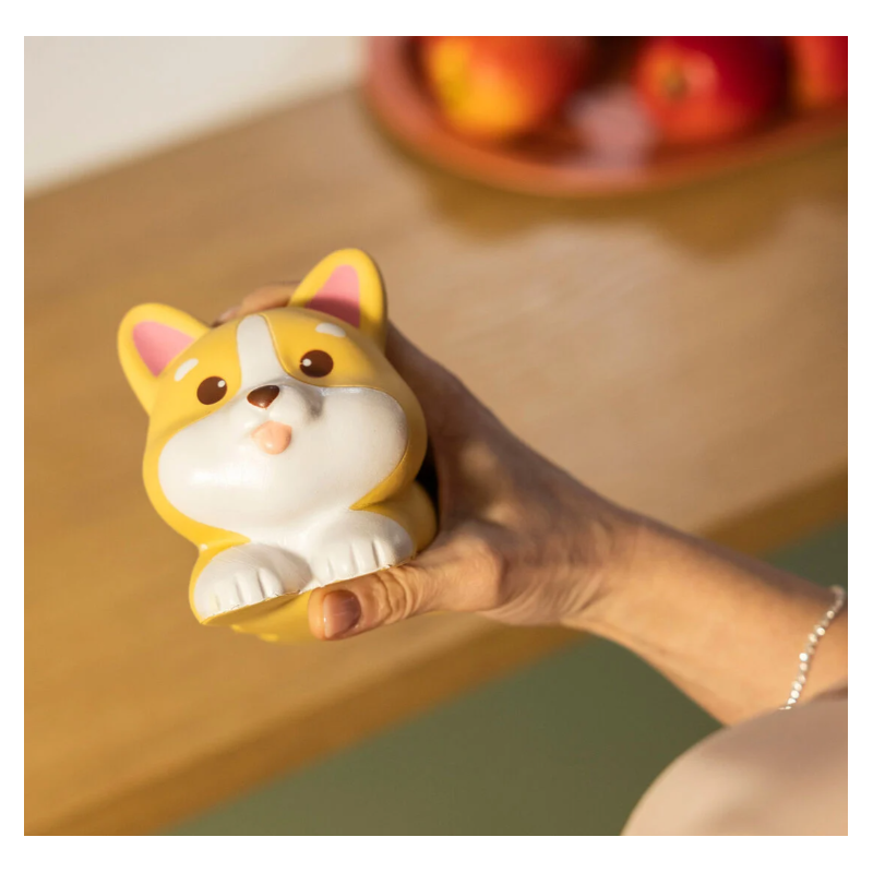 Legami Juguete Antiestrés Perro Corgi