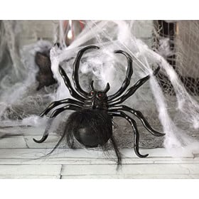 Accesorio Decoración Araña 17x33 2