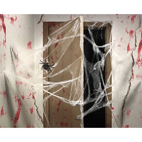 Accesorio Decoración Araña 17x33