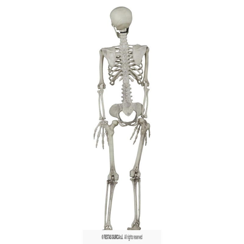 Esqueleto Colgante 90 cm