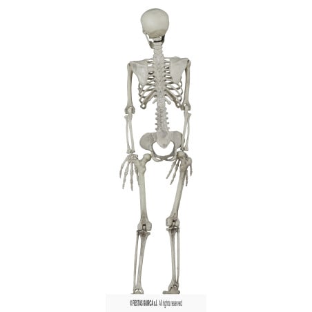 Esqueleto Colgante 90 cm