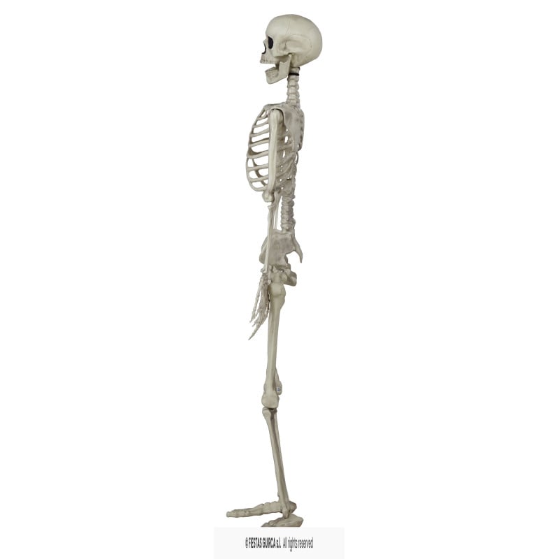 Esqueleto Colgante 90 cm