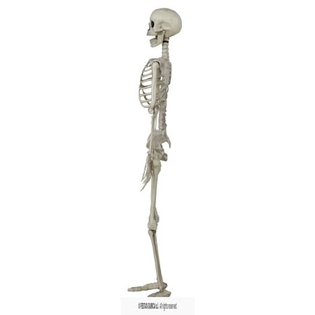 Esqueleto Colgante 90 cm