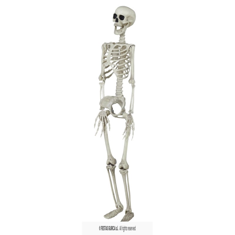 Esqueleto Colgante 90 cm