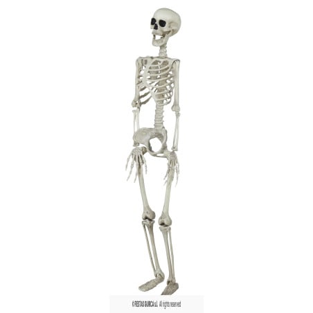Esqueleto Colgante 90 cm