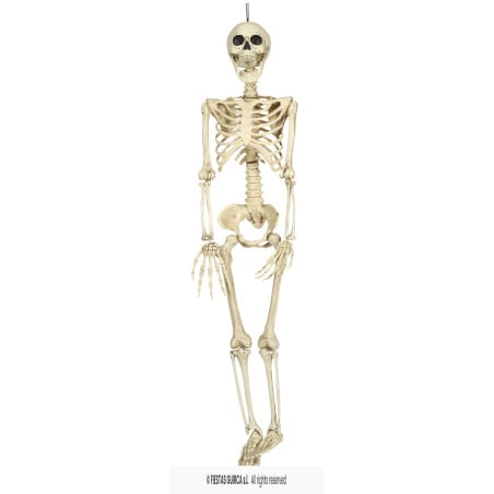 Esqueleto Colgante 90 cm