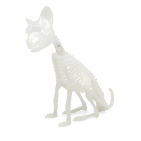 Gato Esqueleto Fluorescente 21 cm 2