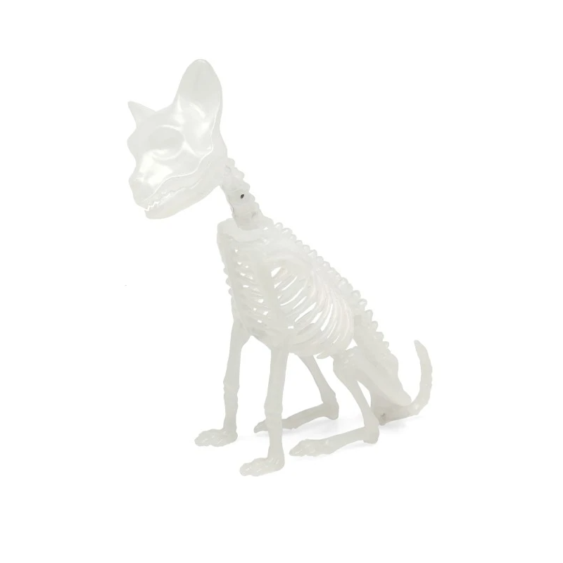 Gato Esqueleto Fluorescente 21 cm