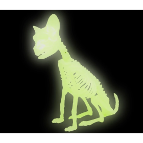 Gato Esqueleto Fluorescente 21 cm