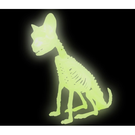 Gato Esqueleto Fluorescente 21 cm