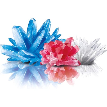 Terrario De Cristales Con Dinosaurios Crystal Growing 4M