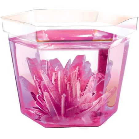 Terrario De Cristales Con Dinosaurios Crystal Growing 4M