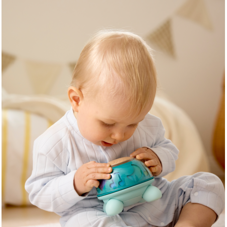 Hape Tortuga De Giro Y Ajuste Musical