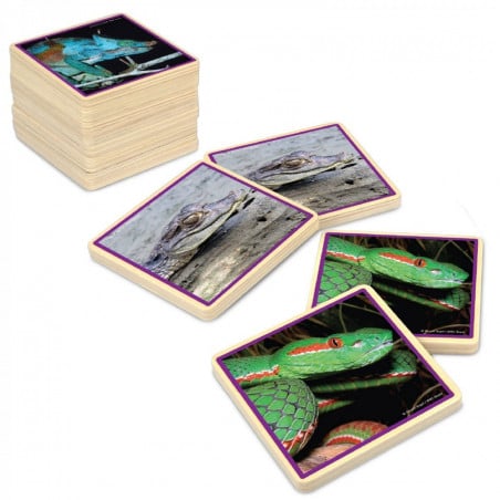 JUEGO DE MEMORIA GIGANTE REPTILES JUEGO DE MEMORIA GIGANTE REPTILES