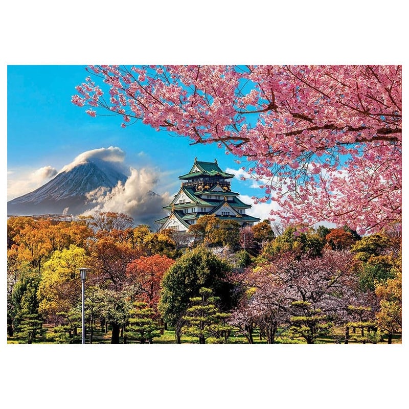 2000 CASTILLO DE OSAKA JAPON