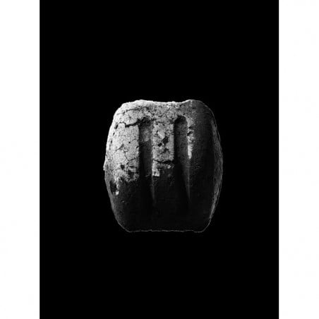 WEBER BRIQUETTES 4KG