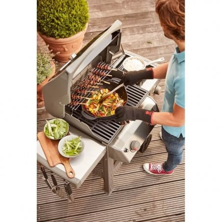 BBQ SPIRIT II E-220 GBS