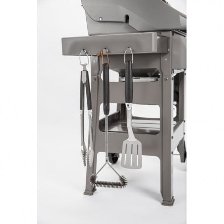 BBQ SPIRIT II E-220 GBS