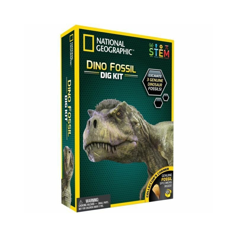 EXCAVA Y DESCUBRE FOSIL DINOSAURIO