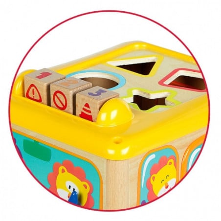 WOOMAX AUTOBUS ACTIVIDADES MADERA