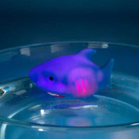 DINO WORLD TIBURON DE BAÑO 2