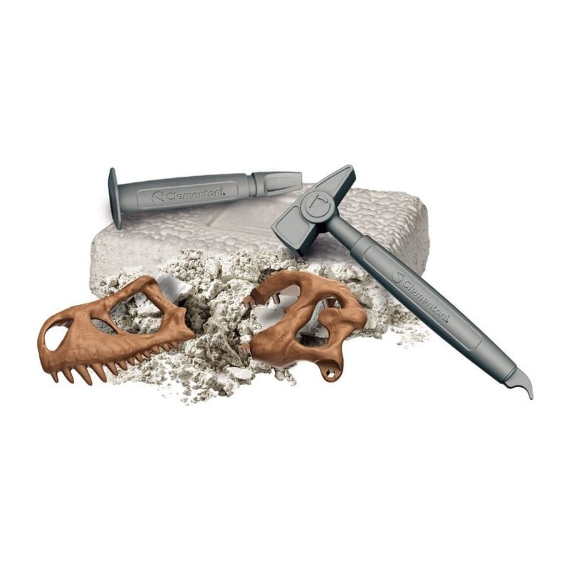 ARQUEOJUGANDO CRANEO DEL GRAN T-REX