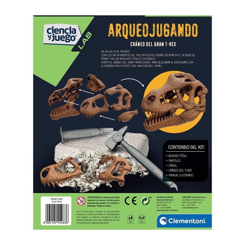 ARQUEOJUGANDO CRANEO DEL GRAN T-REX