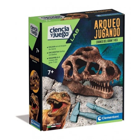ARQUEOJUGANDO CRANEO DEL GRAN T-REX