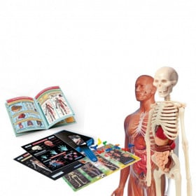 LABORATORIO DE ANATOMIA ESTUDIA LOS ORGA 2