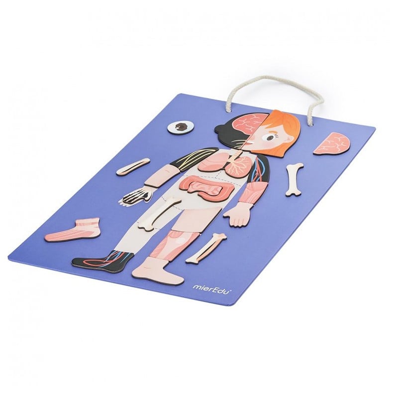 TODO ACERCA DEL CUERPO Y LAS EMOCIONES