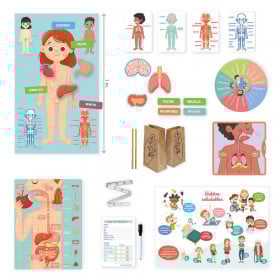 Aprendo En Positivo El Cuerpo Humano 2