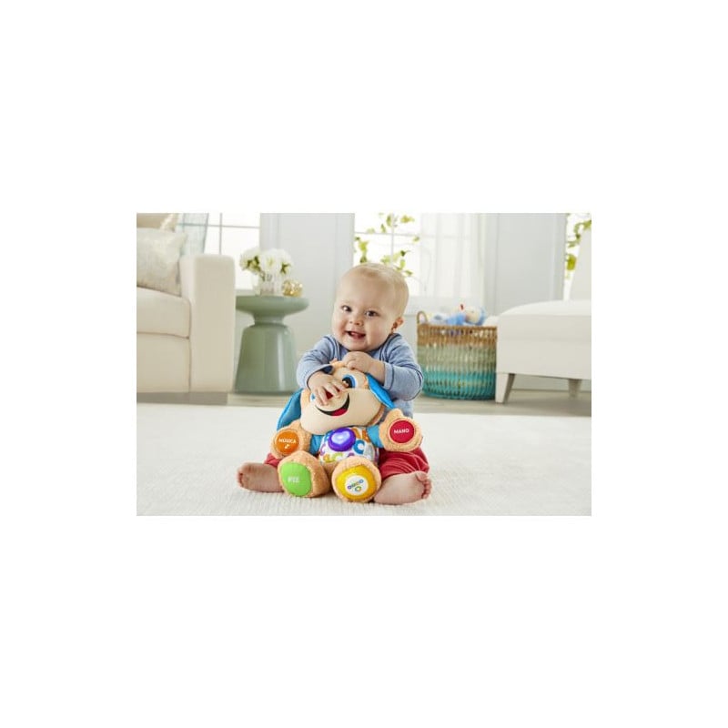 PERRITO PRIMEROS DESCUBRIMIENTOS