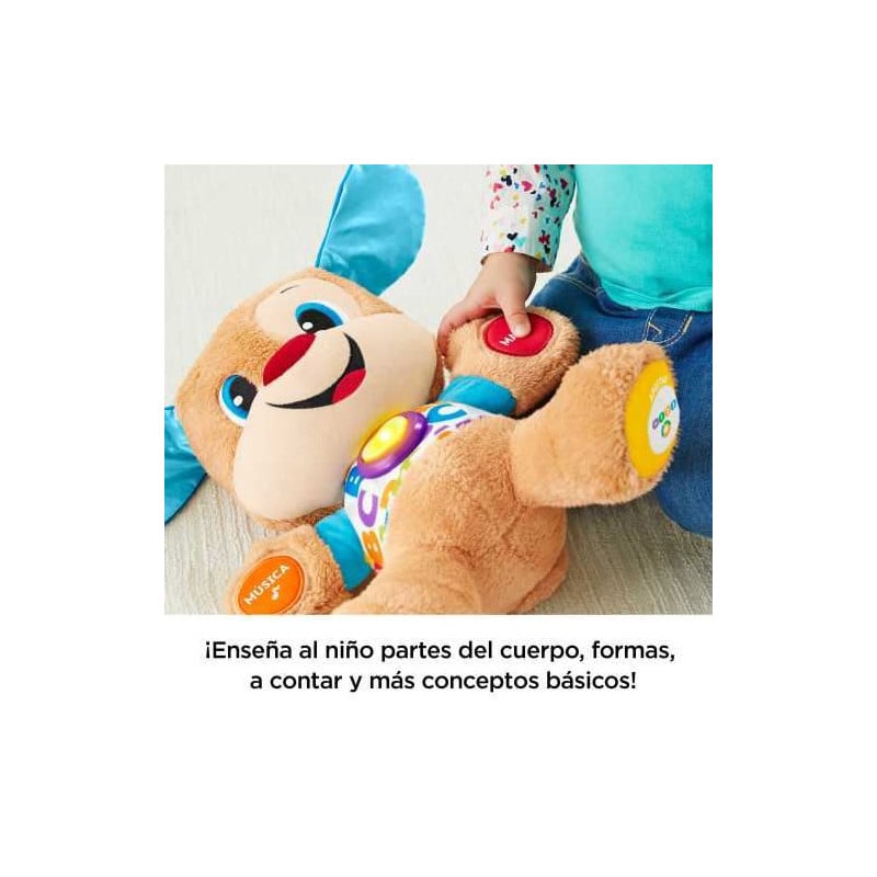 PERRITO PRIMEROS DESCUBRIMIENTOS