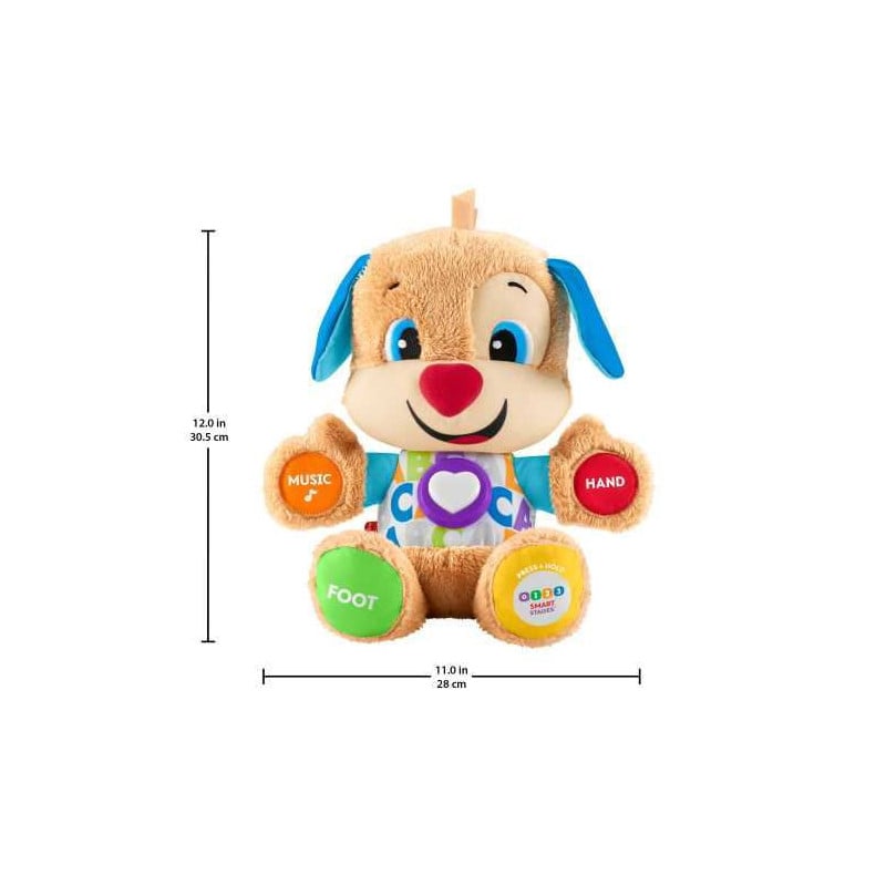 PERRITO PRIMEROS DESCUBRIMIENTOS