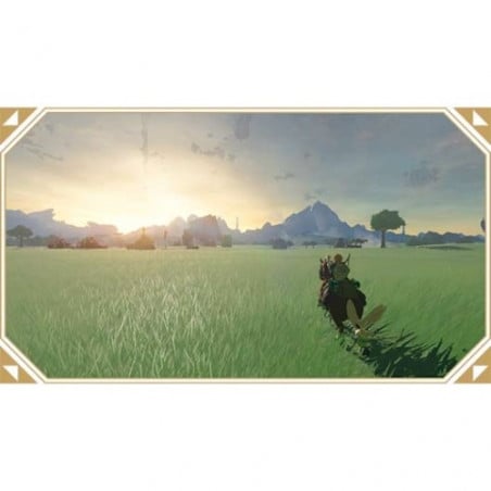 SWITCH ZELDA TEARS OF THE KINGDOM