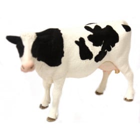 VACA FRISONA MANCHAS