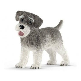SCHNAUZER MINIATURA