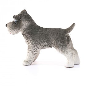 SCHNAUZER MINIATURA 2