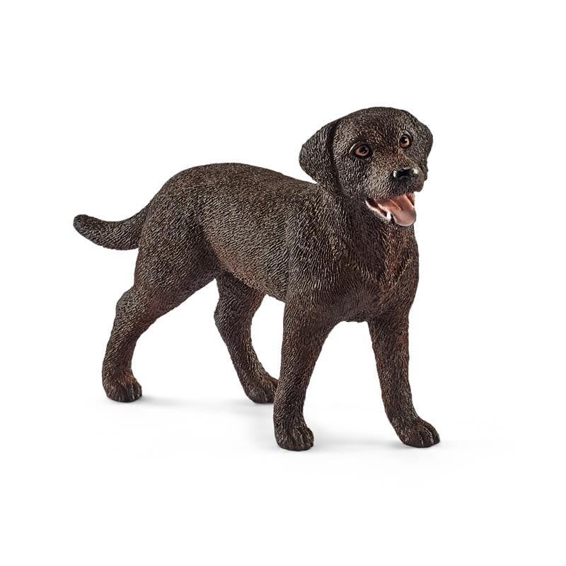 LABRADOR RETRIEVER HEMBRA