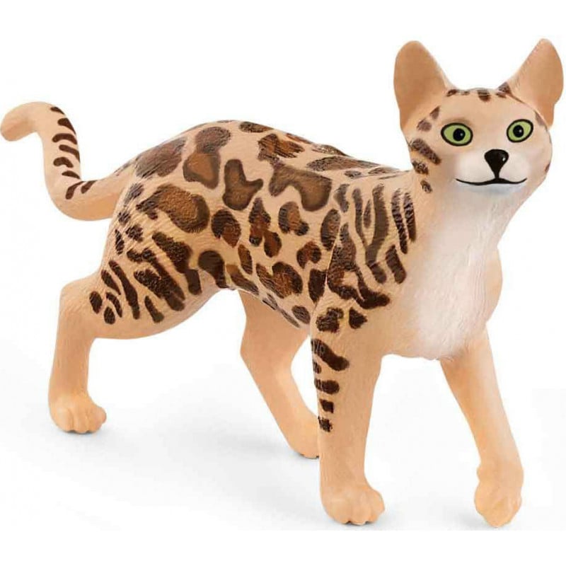 GATO DE BENGALA