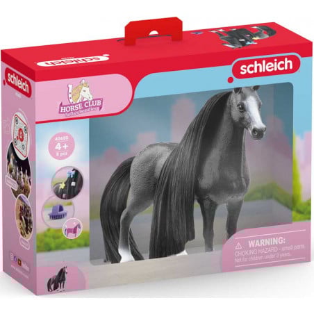 YEGUA QUARTER HORSE BEAUTY