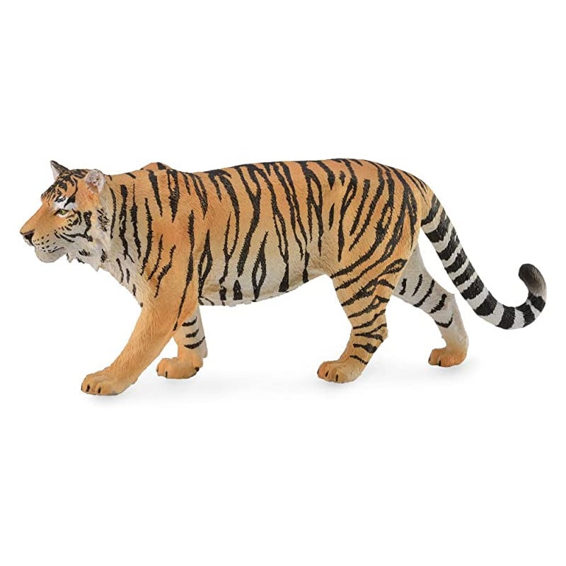 TIGRE