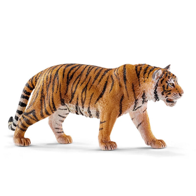 TIGRE