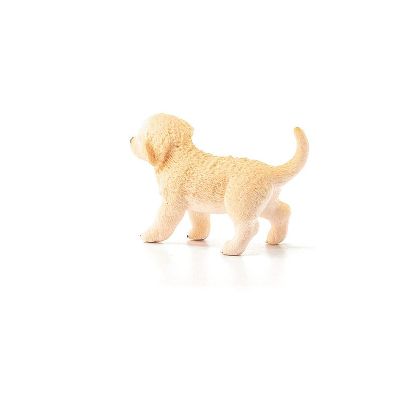 CACHORRO GOLDEN RETRIEVER