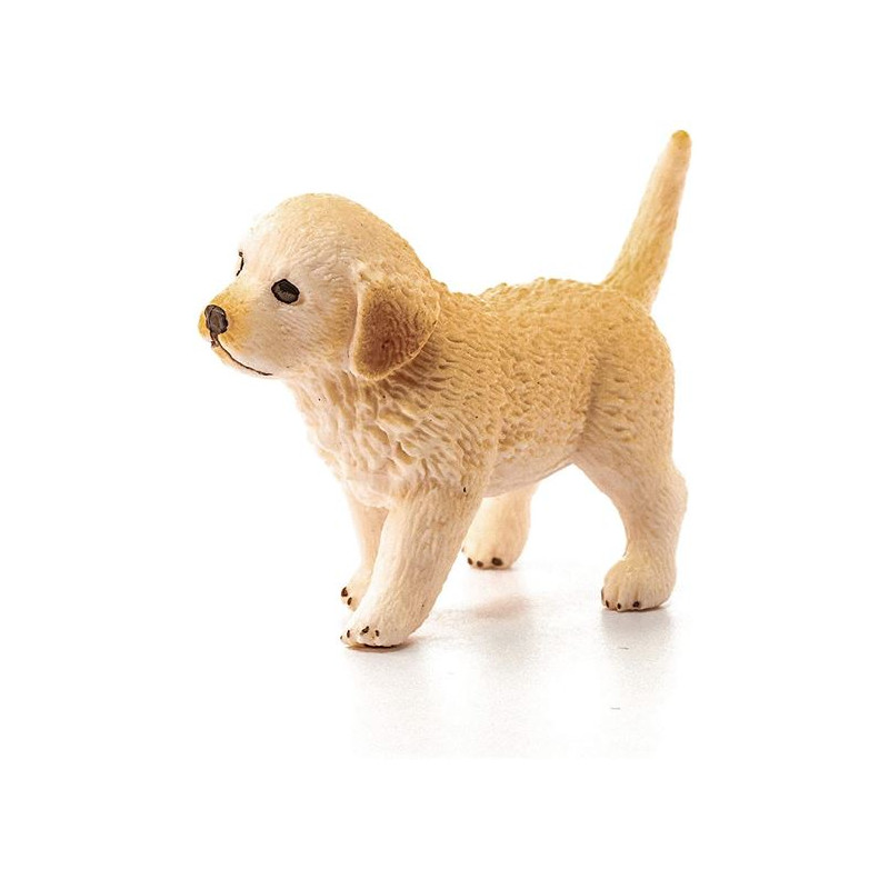 CACHORRO GOLDEN RETRIEVER