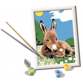 CREART SERIE E BURRO 2