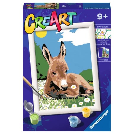 CREART SERIE E BURRO
