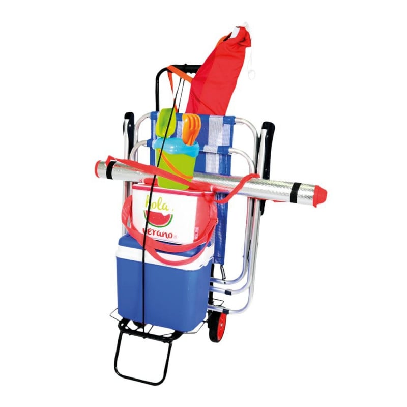 CARRITO MULTIUSOS 50 KG